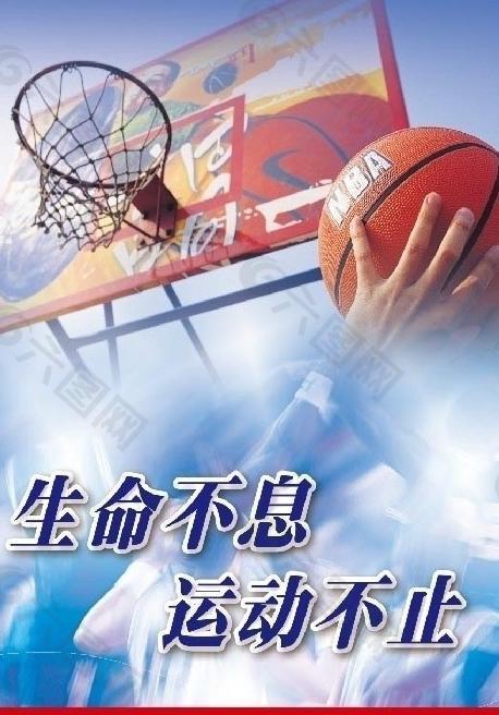 鹈鹕队的锡