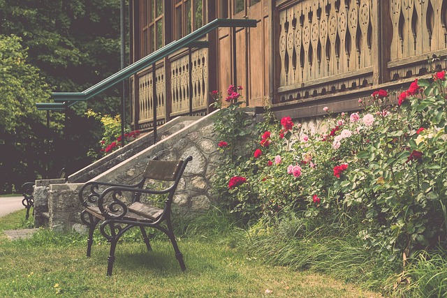 变成如此大 变成如此大