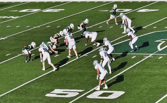 尼斯在法甲 尼斯在法甲